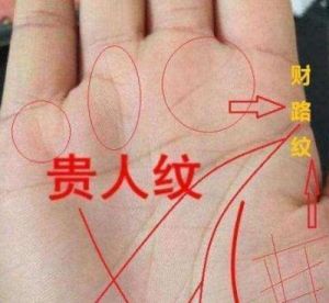 女人有财运的手相 免费算命不付费