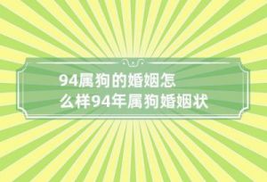 属狗人的婚姻情况 属狗人2024年感情与婚姻