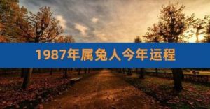 87年兔什么时候转大运 87年兔2024年运势