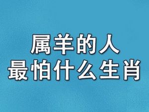 属羊的人干什么最挣钱 养羊的副业