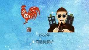 1969年属鸡今年运势如何 1969年属鸡人的全年运势