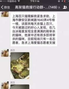 在梦里杀猫预示着什么 梦到猫预示着什么