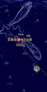 双鱼座本周运势解读 2024.10.10-10.16