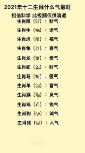 10月12日生肖鼠、生肖牛、生肖虎、生肖兔今日生肖运势提前预测