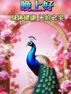 生肖鸡2024年寒露节气：10月8日至10月23日综合运势分析