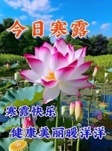 生肖猪：2024年寒露节气，10月8日至10月23日综合运势分析！