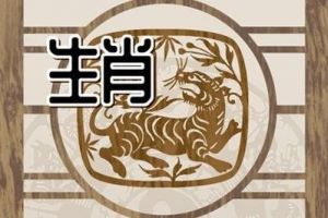 生肖虎、蛇、鼠，明日运势：10月14日，周一宜拒绝内耗，谨言慎行