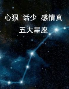 淡泊不依赖情感的星座，抛开爱情往往更开怀、更释然