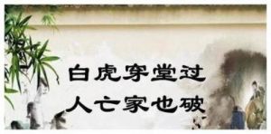 “宁遭桃花劫，勿近白虎身”——白虎的含义与意义何在？