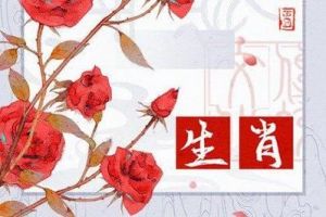 这三大生肖女性风情万种，命中桃花盛开，魅力无人能敌！