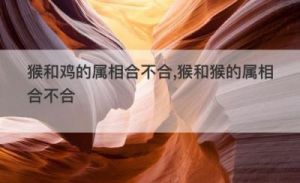 生肖猴、羊和鸡在爱情、事业和交际方面的特点