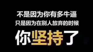 往后的岁月里，总能遇到好运，拥有幸福，有灿烂人生的四大星座