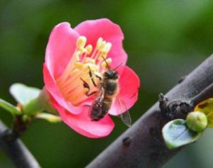 10月底，风云变幻，四大生肖事业爱情双丰收的精彩时刻