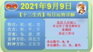 2025年猴年生肖人的运势及每月运程