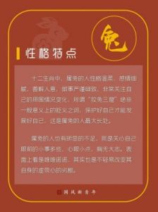 属相性格特征与深层含义分析