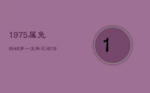 2024年桃花运强劲，情感困扰与恋爱纷争的四大生肖分析