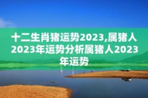 2025年生肖猪：感情、婚姻、健康和学业运势分析