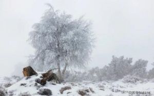 甜蜜预报：四大生肖桃花旺，脱单成功迎来爱情春天！