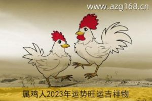 十二生肖-鸡，2025年运程详解