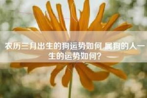 属狗人的性格特征及命运轨迹