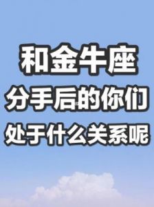 与金牛座分手的类型