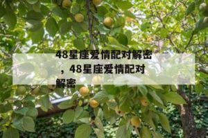 迎接人生巅峰：三大星座在事业与爱情中双双腾飞