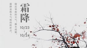 生肖虎，2024年霜降节气：10月24日至11月7日综合运势分析！