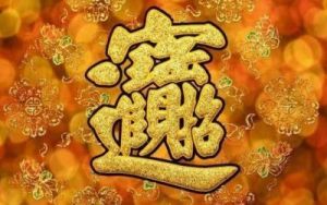 11月7日开始的四大星座，运势亨通，财运亨通，感情顺利