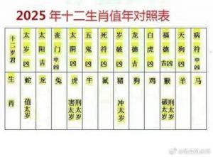 2025乙巳年，感情运势佳，有结婚的可能。