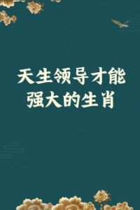 三个坚韧的生肖：孤独与寂寞的战胜者