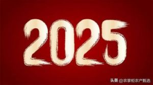 2025年生肖鸡运势详解