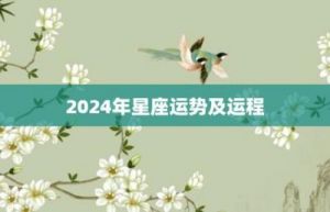 哪些星座在2024年11月表现出色，十二星座中哪些星座工作表现突出？