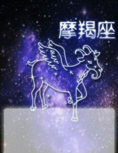 这4个星座在职场中犹如鱼得水，脾气亲和且能力出众，备受重用！