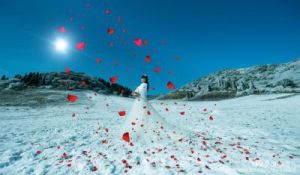 飘雪日，四星座桃花盛 开心遇真爱共度终身