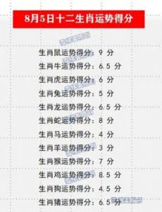 每日穿搭：2024年11月17日 十二生肖五行穿衣和运势指南