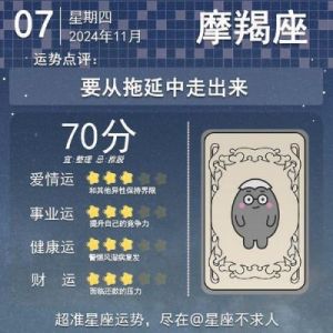 2024年11月7号十二星座运势：因势利导