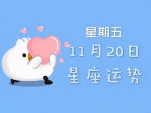 11月18日至24日 四大星座爱情运势揭秘