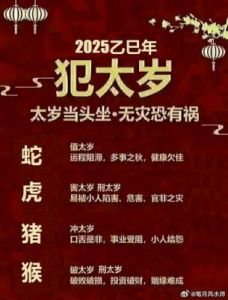 2025年生肖鼠每月运势详解