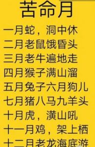 生肖蛇12月运势：突破困境，迈向事业巅峰！