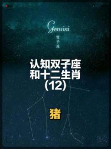 生肖猪、猴、鸡2024年12月综合运势分析