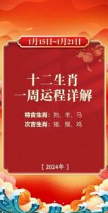 今日生肖黄历运势：2024年11月24日