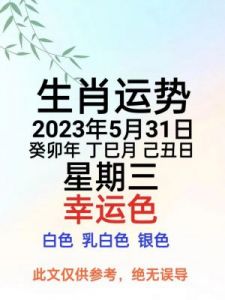 两个生肖的未来三天职场运势及挑战分析