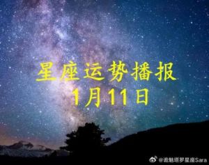 11月28日十二星座爱情运势每日报告