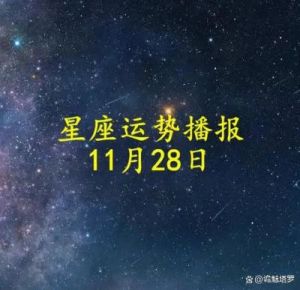 2024年11月28日十二星座运势预测