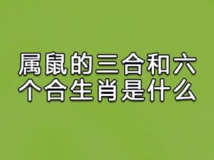 三大生肖未来三天事业和感情展望