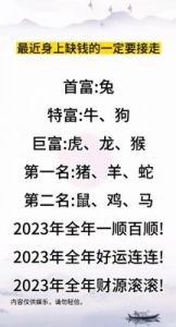 生肖龙、蛇、猪12月运势分析：事业上升，财运亨通！