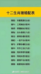 生肖猪与双鱼座未来三个月运势：事业上升，爱情甜蜜！