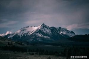 未来三个月运势如猛虎下山，势如破竹，横财入命，富贵流油的生肖