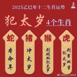 忠于勇敢：2025乙巳蛇年运势前瞻