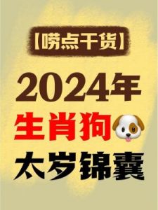 2024年12月属狗人的运势及生肖狗十二月展望